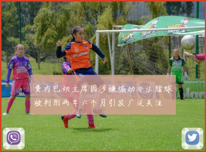 费内巴切主席因涉嫌煽动非法赌球被判刑两年六个月引发广泛关注