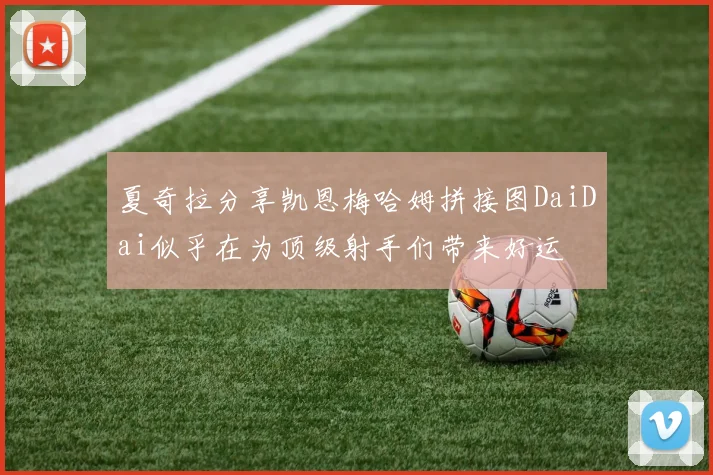 夏奇拉分享凯恩梅哈姆拼接图DaiDai似乎在为顶级射手们带来好运